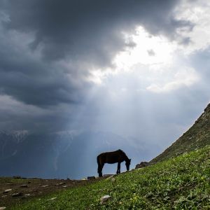 Vaibhav Bhatia, professional photographer in Delhi, India