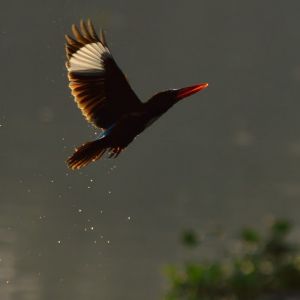 Sarkar Productions, professional photographer in Pune