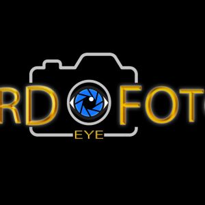 Third Vio Fotos, professional photographer in Noida, Uttar Pradesh, India